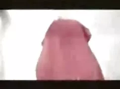 Essi cazzo con una p ...