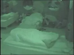 Ribelle video porno  ...