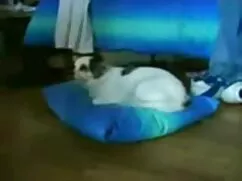 Nero ragazzo culo fa ...